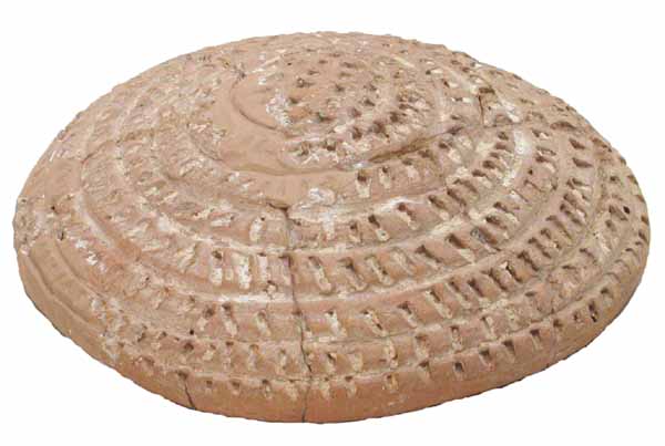 33inv7602_MJT.jpg