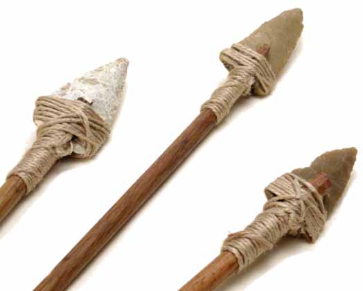43-45sageti_silex._MDD.jpg