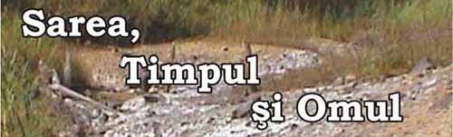 Sarea, Timpul şi Omul