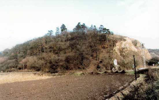 03.jpg