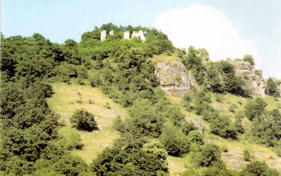 05.jpg