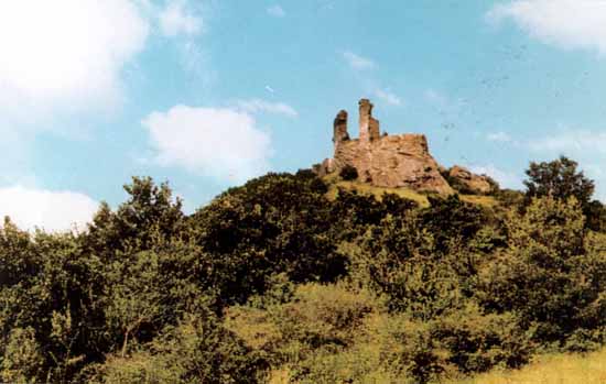 09.jpg