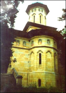 Lcauri de cult din Romnia; Biserica Tierea Capului Sf. Ioan Boteztorul; ; ; 1627; 1627; ; Biseric; ortodox; Orthodox; orthodoxe; TEFNETI; TEFNETI; Arge; Protopopiatul Piteti; Episcopia Argeului; Mitropolia Munteniei i Dobrogei; 