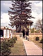 Biseric; ortodox; orthodox; Biserica Sfntul Eftimie - Fundeni (Fundenii Doamnei); municipiul; BUCURETI; 