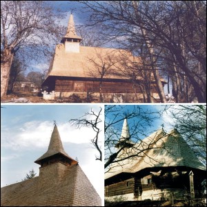 Lcauri de cult din Romnia; Biserica de lemn Sfinii Arhangheli Mihail i Gavril; ; ; 1757; ; ; Biseric de lemn; ortodox; Orthodox; orthodoxe; RUNCU SALVEI; SALVA; Bistria Nsud; ; Arhiepiscopia Vadului, Feleacului i Clujului; Mitropolia Clujului, Albei, Crianei i Maramureului; 