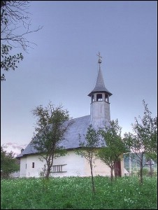 Lcauri de cult din Romnia; Biserica de lemn Sf. Dimitrie; ; ; 1806, rest.1933; 1806; ; Biseric de lemn; ortodox; Orthodox; orthodoxe; ARCALIA; IEU-MGHERU; Bistria Nsud; Protoieria Alba Iulia; Arhiepiscopia Alba Iuliei; Mitropolia Clujului, Albei, Crianei i Maramureului; 
