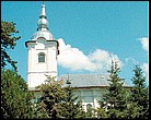 Biseric; ortodox; orthodox; Biserica Vovidenia, Intrarea n Biseric; municipiul; BOTOANI; 