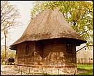 Biseric de lemn; ortodox; orthodox; Biserica de lemn Adormirea Maicii Domnului; municipiul; DOROHOI; 