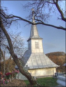 Lcauri de cult din Romnia; Biserica de lemn nlarea Sf. Cruci; ; ; 1896; 1896; ; Biseric de lemn; ortodox; Orthodox; orthodoxe; CTLINA; PANTICEU; Cluj; Protopopiatul; Arhiepiscopia Vadului, Feleacului i Clujului; Mitropolia Clujului, Albei, Crianei i Maramureului; 