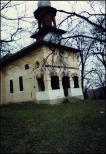 Lcauri de cult din Romnia; Biserica de lemn Sfinii Voievozi; ; ; 1785; 1785; ; Biseric de lemn; ortodox; Orthodox; orthodoxe; SELITENI; HUSNICIOARA; Mehedini; ; Arhiepiscopia Craiovei; Mitropolia Olteniei; 
