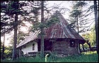 Biseric de lemn; ortodox; orthodox; Biserica de lemn Sf. Nicolae; sat; COSTETI; BALTA