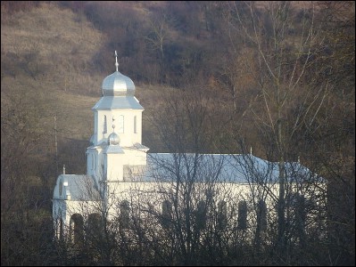 Lcauri de cult din Romnia; ; ; ; 1985; 1985; ; Biseric; ortodox; Orthodox; orthodoxe; DOBRIN; DOBRIN; Slaj; Protopopiatul Ortodox romn Zalu i Jibou; Episcopia Oradea; Mitropolia Clujului, Albei, Crianei i Maramureului; 