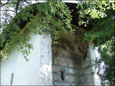 Lcauri de cult din Romnia; Biserica Tierea Capului Sf. Ioan Boteztorul; ; ; 1502-1503; 1502; 1503; Biseric; ortodox; Orthodox; orthodoxe; ARBORE; ARBORE; Suceava; Protopopiatul Rdui; Arhiepiscopia Sucevei i a Rduilor; Mitropolia Moldovei i Bucovinei; 