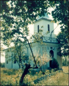 Lăcaşuri de cult din România; Biserica Naşterea Maicii Domnului; ; ; 1845-1847, rep. în 1912, 1941-1942, 1989; 1845; 1847; Biserică; ortodox; Orthodox; orthodoxe; BÂRZEŞTI; ŞTEFAN CEL MARE; Vaslui; Protoieria Negreşti; Episcopia Huşilor; Mitropolia Moldovei şi Bucovinei; 