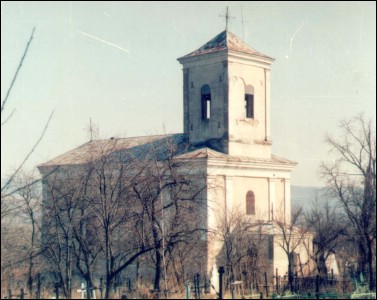 Lăcaşuri de cult din România; Biserica Naşterea Maicii Domnului; ; ; cca. 1843, rep. 1905, 1927 (înlocuită învelitoarea de şindrilă cu tablă), 1957 (ref.a turlei); 1843; ; Biserică; ortodox; Orthodox; orthodoxe; PRIBEŞTI; CODĂEŞTI; Vaslui; Protoieria Vaslui; Episcopia Huşilor; Mitropolia Moldovei şi Bucovinei; 
