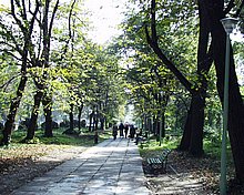 Parcul Carol