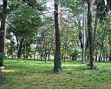Parcul Carol, zona spre Serban Voda