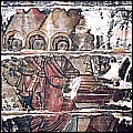 06_10 anonimsecXIXMironiostemormantSAMS-Deag-iulie-3.jpg