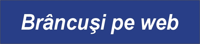 brancusi pe web
