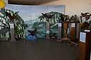 Expoziția „Păsări răpitoare”