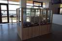 Expoziție de geologie „Flori de mină”