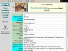 Muzeul virtual-fisa