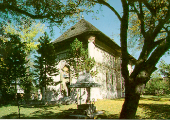 Muzeul Viticulturii și Pomiculturii, Golești
