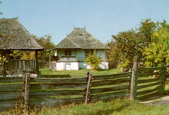 Muzeul Viticulturii și Pomiculturii, Golești