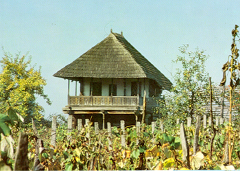 Muzeul Viticulturii și Pomiculturii, Golești