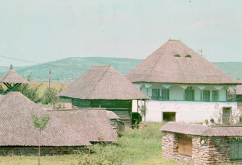 Muzeul Viticulturii și Pomiculturii, Golești