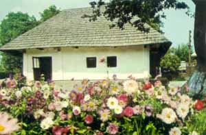 Casa Memorialã Ion Creangã - Humulești 