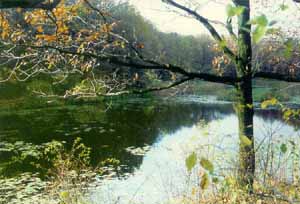 Lacul Baisa - Memorialul "Eminescu"