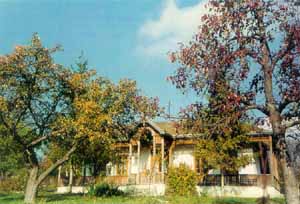 casa icoanelor