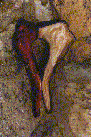 Casa memorialã "C. Negruzzi"