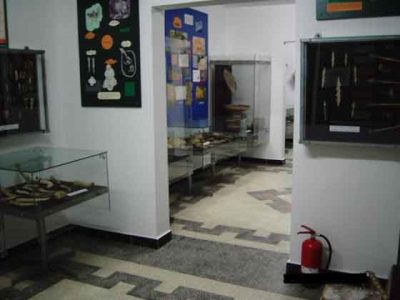 Fotografia nr 2