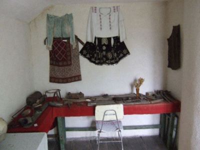 Fotografia nr 6