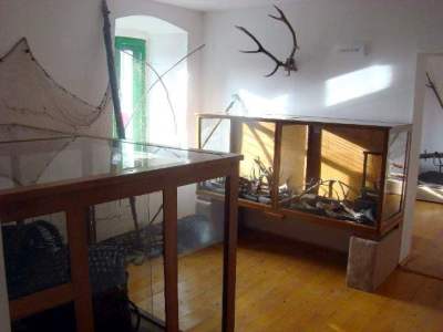 Fotografia nr 9