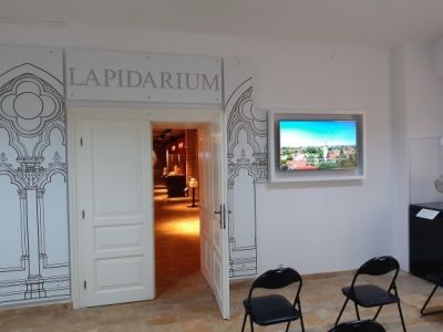 Fotografia nr 5
