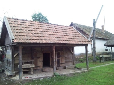Fotografia nr 8