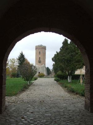 Fotografia nr 6