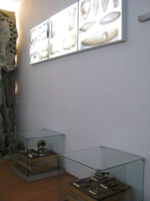 Fotografia nr 2