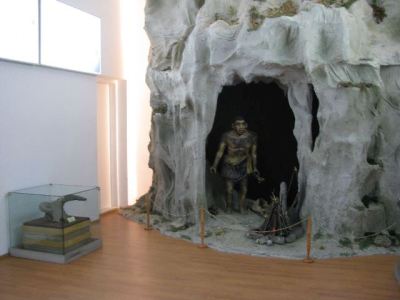 Fotografia nr 3