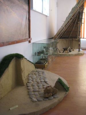 Fotografia nr 4