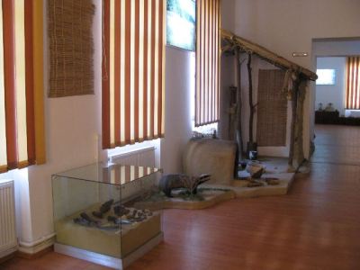 Fotografia nr 6