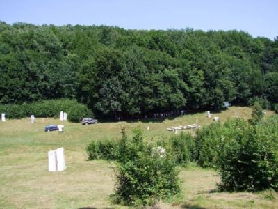Fotografia nr 6