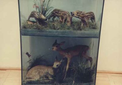 Fotografia nr 9