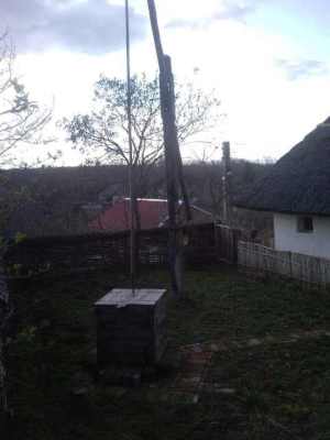 Fotografia nr 2