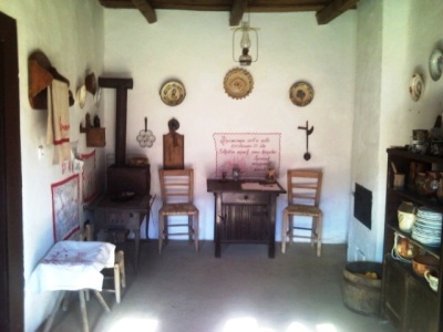 Fotografia nr 6