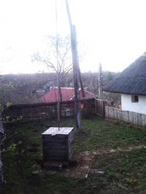 Fotografia nr 9