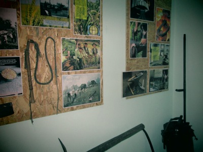 Fotografia nr 6